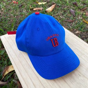 Boné Azul Dadhat